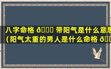 八字命格 🐎 带阳气是什么意思（阳气太重的男人是什么命格 🐱 ）